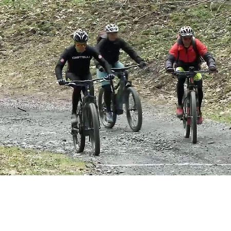 Le Cocon Du Catogne Proche Martigny Verbier - Netflix - Valettes Экстерьер фото