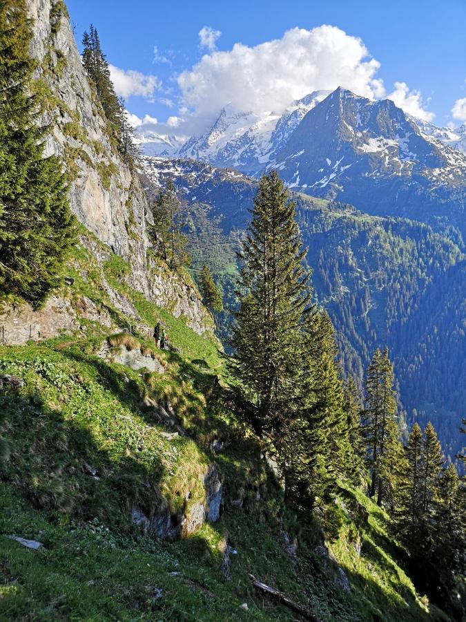 Le Cocon Du Catogne Proche Martigny Verbier - Netflix - Valettes Экстерьер фото