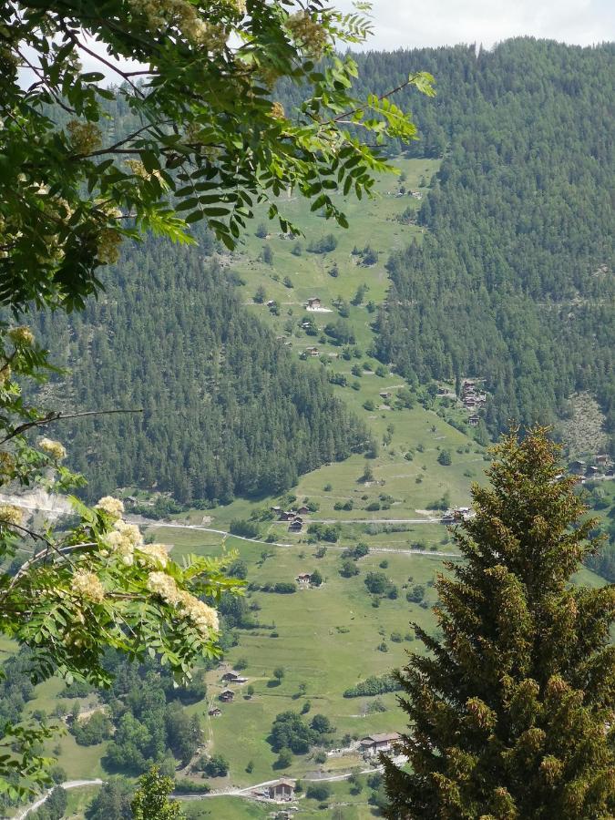 Le Cocon Du Catogne Proche Martigny Verbier - Netflix - Valettes Экстерьер фото